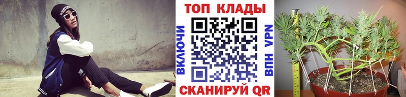 ГАШИШ Лукоянов