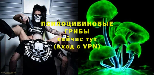 МДМА Новодвинск