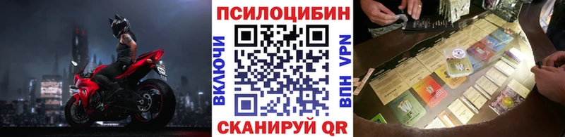 Псилоцибиновые грибы Cubensis  Купить где  Лукоянов 